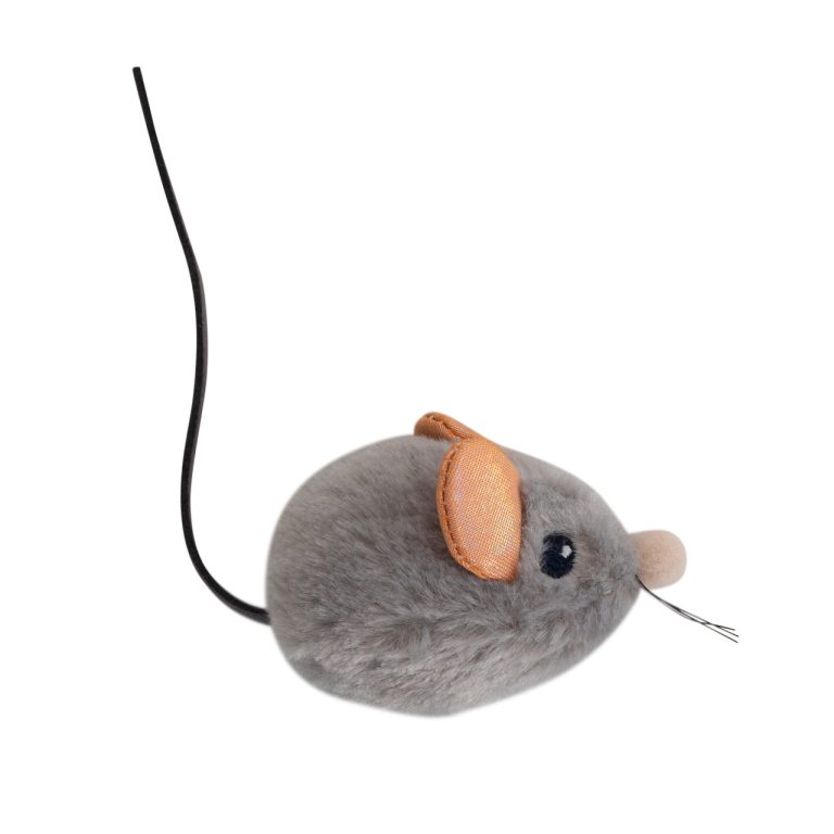A Cat Toy