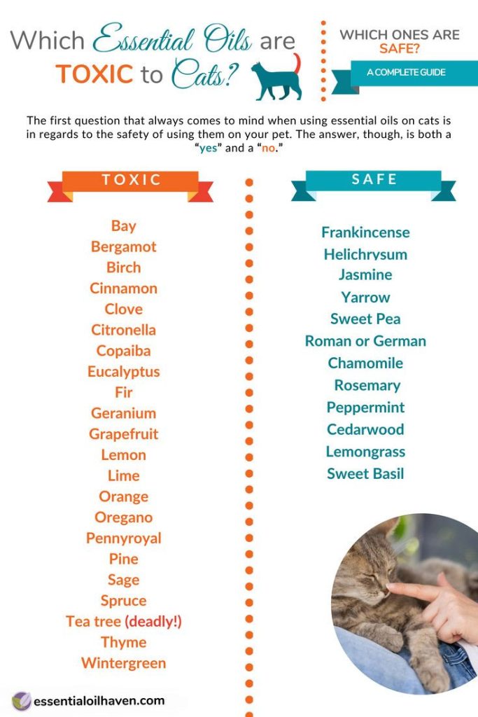 Are Any Essential Oils Safe for Cats