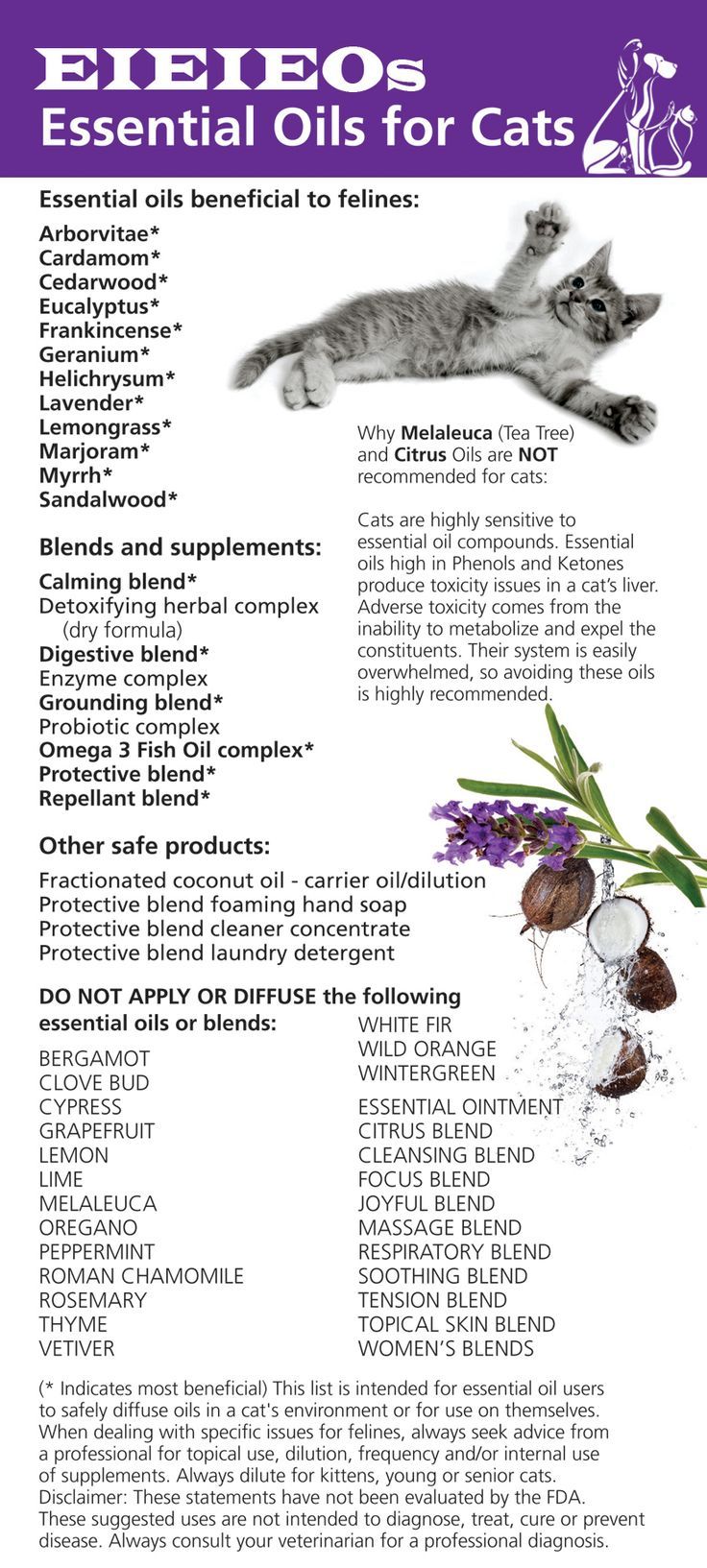 Are Any Essential Oils Safe to Diffuse around Cats
