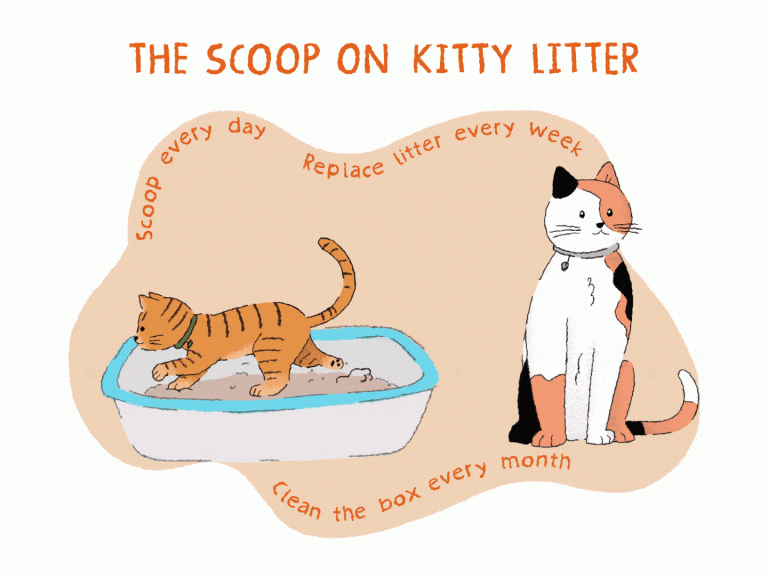 Are Cats Naturally Potty Trained