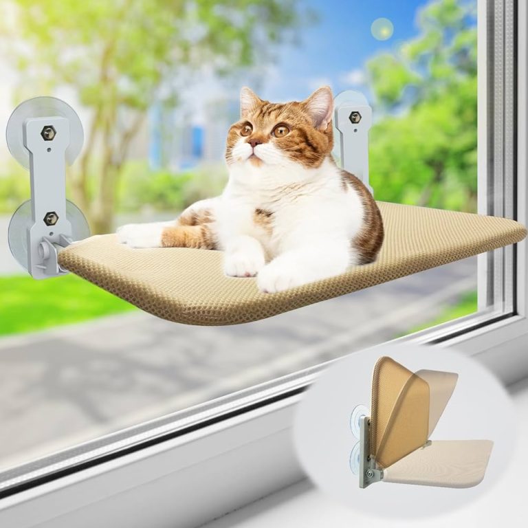 Are Suction Cup Perches the Best for Cats