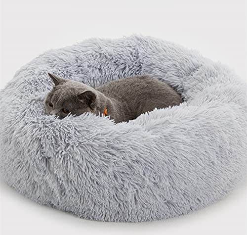 Best Cat Bed for Indoor Cats