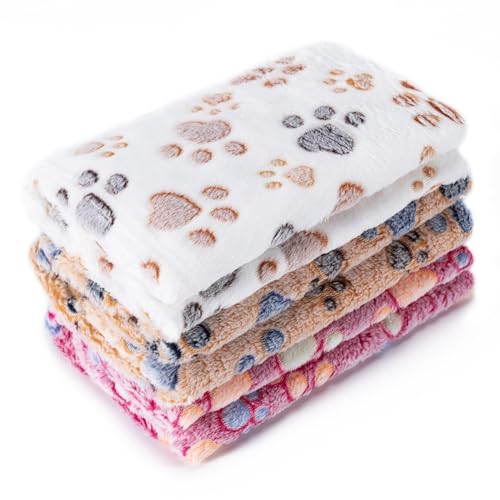 Best Cat Blanket