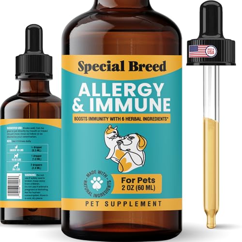 Best Cat Breed for Allergies