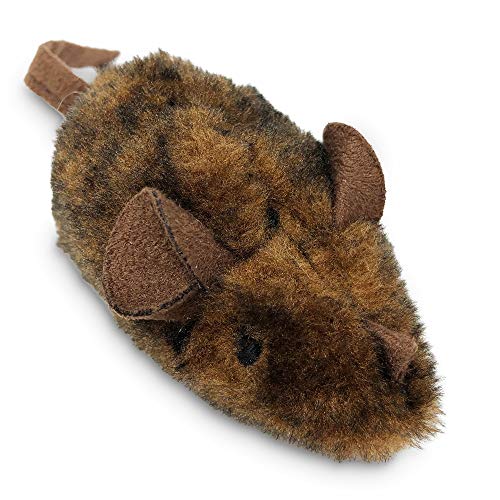 Best Cat Breed for Mice