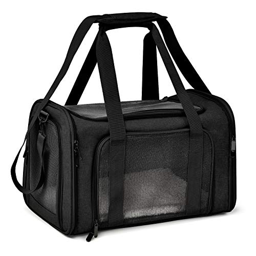 Best Cat Carriers for Air Travel