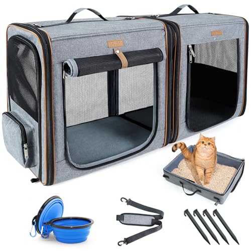 Best Cat Carriers for Long Road Trips