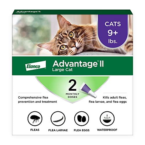 Best Cat Flea Control