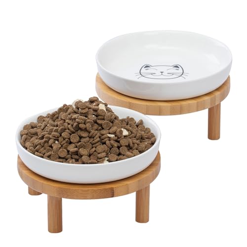 Best Cat Food Bowls for Whisker Fatigue
