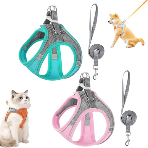 Best Cat Harnesses 2025