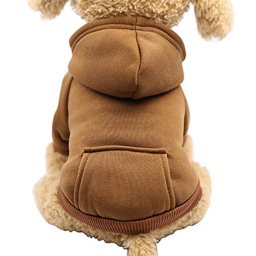 Best Cat Hoodies for Pets