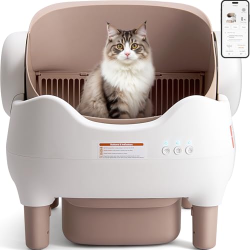 Best Cat Litter for Automatic Boxes