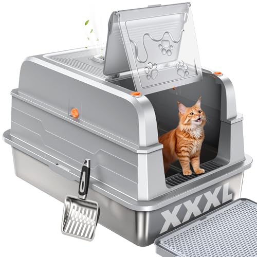 Best Cat Litter for Maine Coons