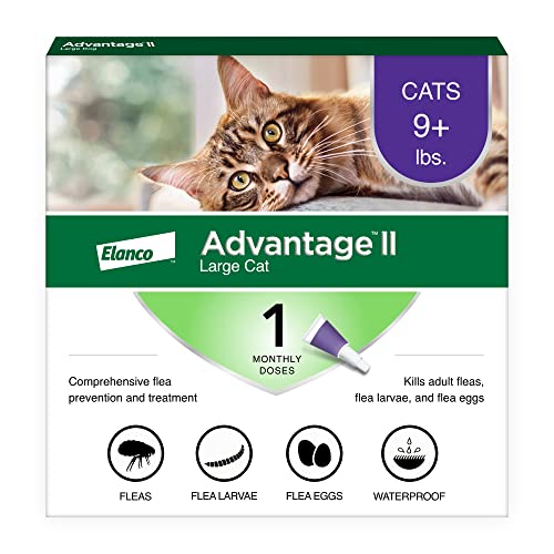Best Cat Medicine for Fleas