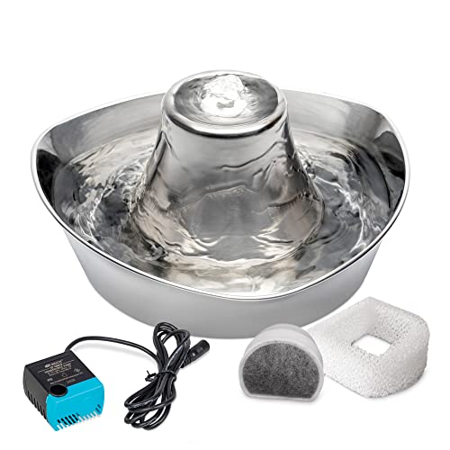 Best Cat Water Fountain Petsafe