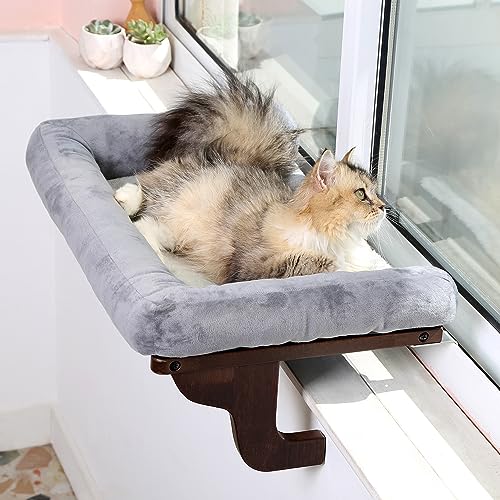 Best Cat Window Perch for Large Cats