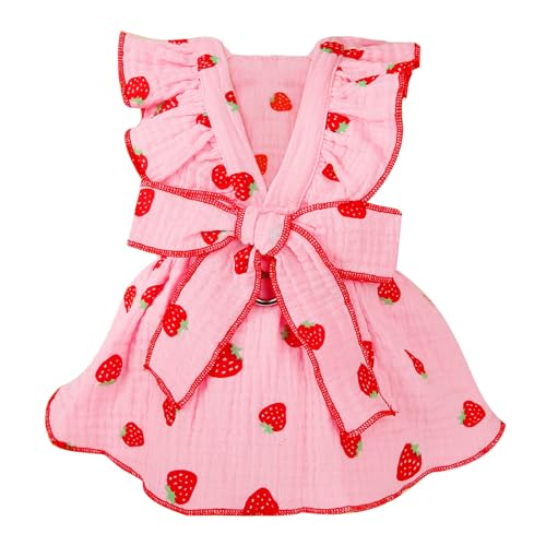 Best Catos Clothing Dresses