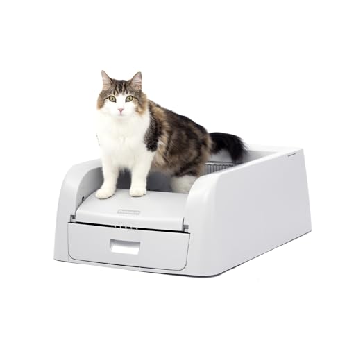 Best Clumping Cat Litter for Automatic Litter Box
