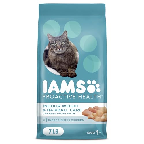 Best Food to Feed My Cat