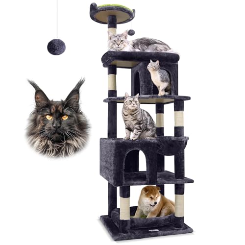 Best Heavy Duty Cat Trees