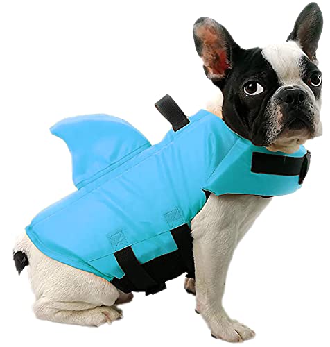 Best Life Jackets for Cats