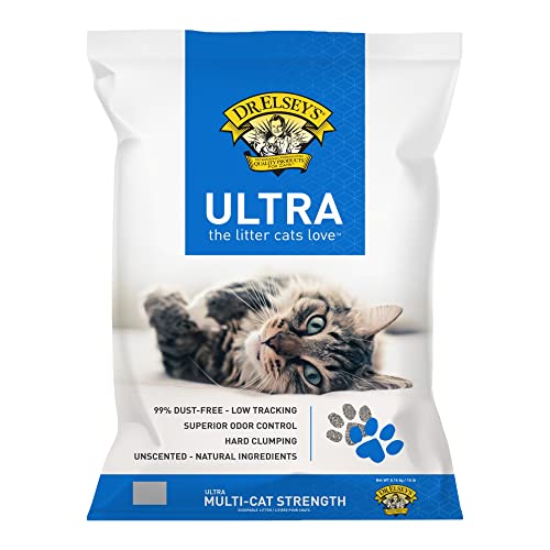 Best Litter for Cat With Allergies