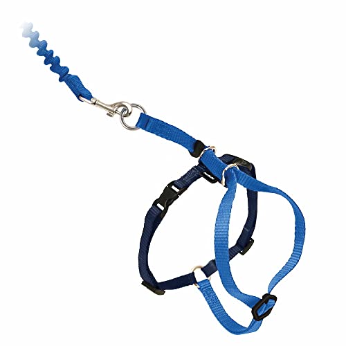 Best Petsafe Cat Leash