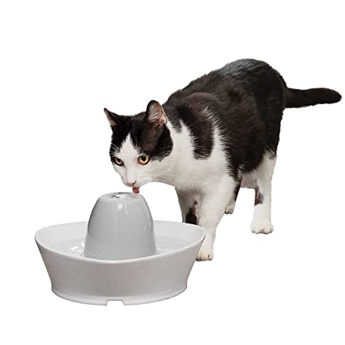Best Petsafe Ceramic Cat Water Fountain
