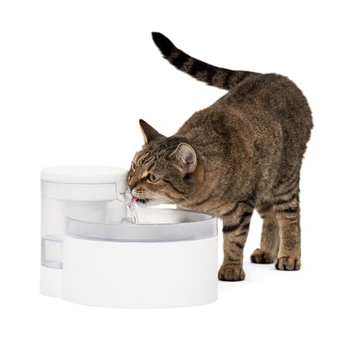 Best Petsafe Outlast Pumpless Cat Water Fountain