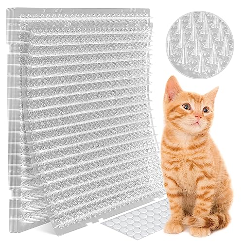 Best Scat Mat for Cats