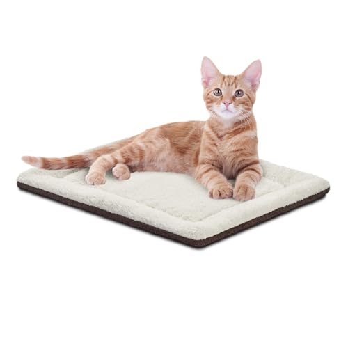 Best Self Warming Cat Bed for Outside