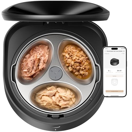 Best Wet Cat Food Dispenser