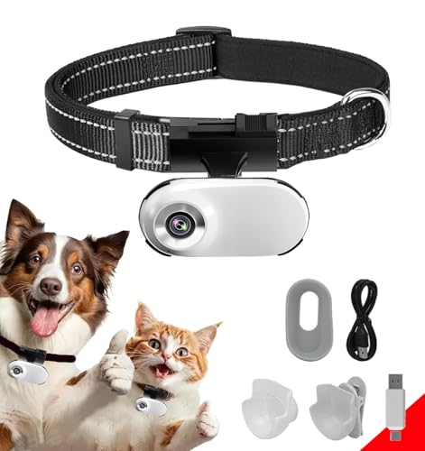 Camera for Cat Collar