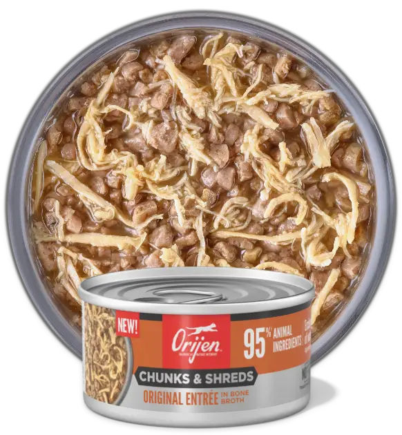 Can Cat Food