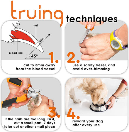 Can I Use Dog Nail Clippers on My Cat