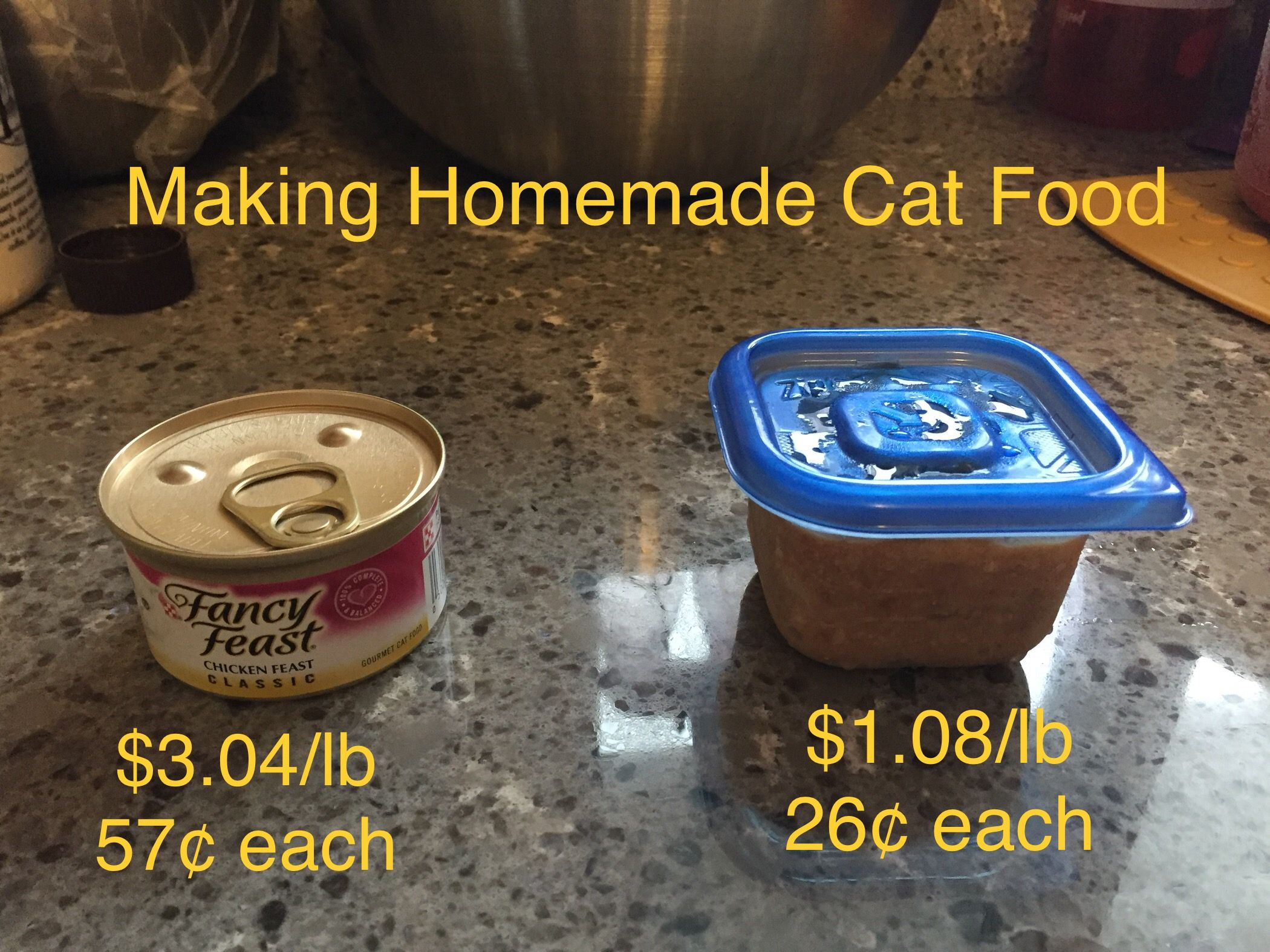 Can You Make Your Own Cat Food: A DIY Guide