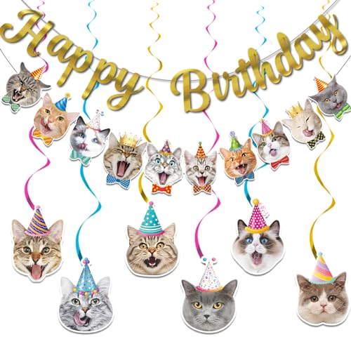 Cat Birthday Decorations