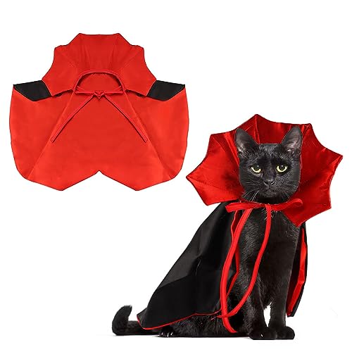 Cat Dracula Costume