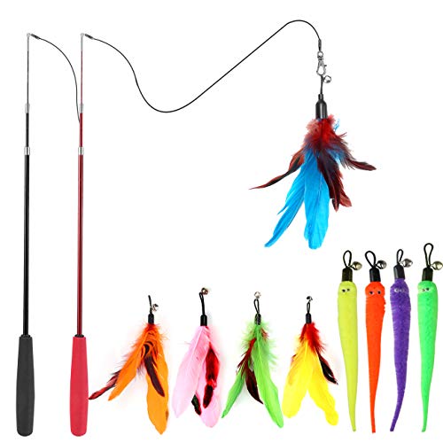 Cat Feather Wand Toy