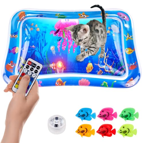 Cat Fish Toy Water