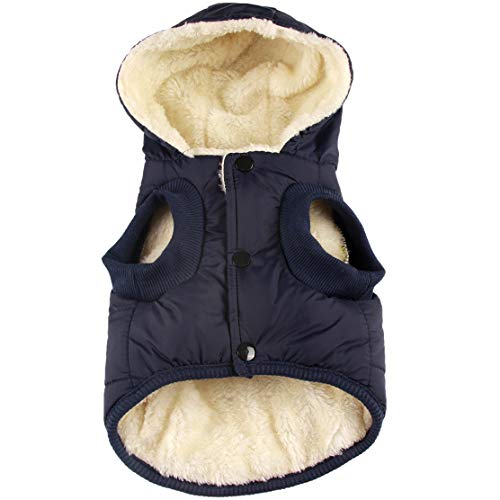 Cat Jackets for Winter