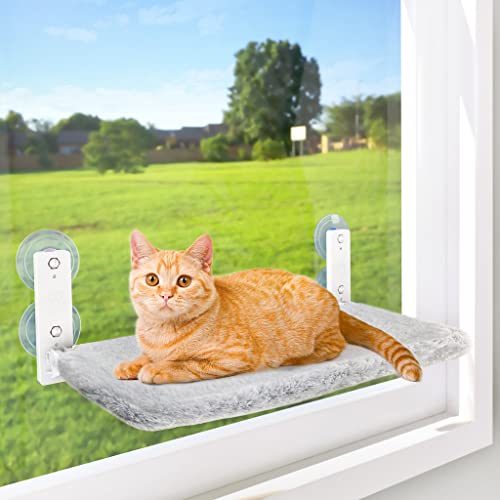 Cat Perched