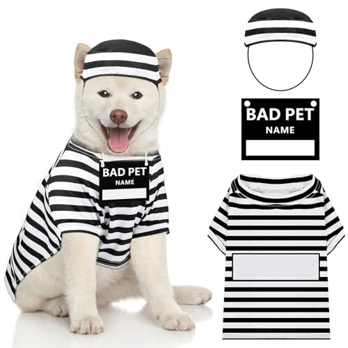 Cat Prison Costume