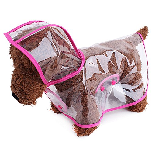 Cat Rain Jacket