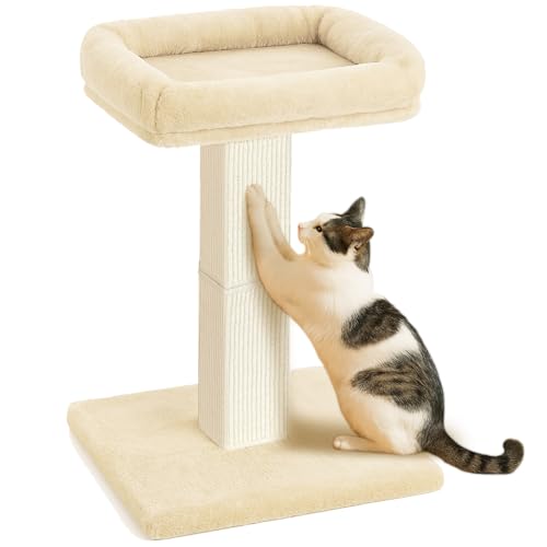 Cat Scratching Post And Perch