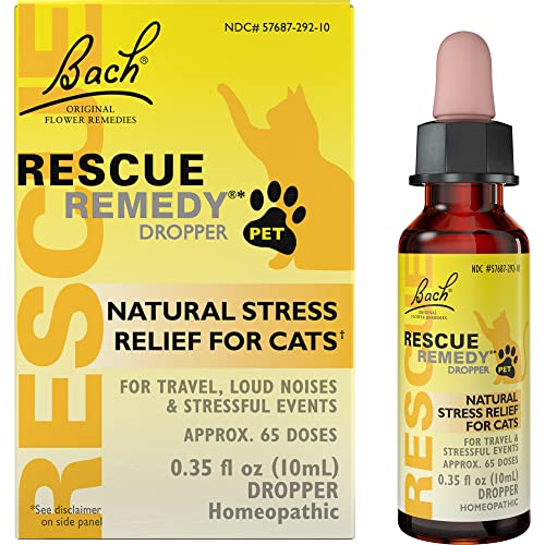 Cat Stress Medication