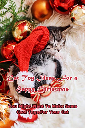 Cat Toys for Christmas