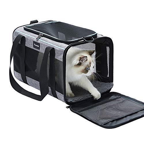Cat Travel Bag