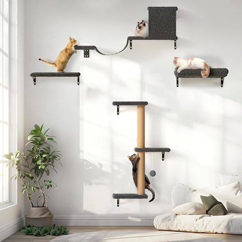Cat Wall Shelves Diy