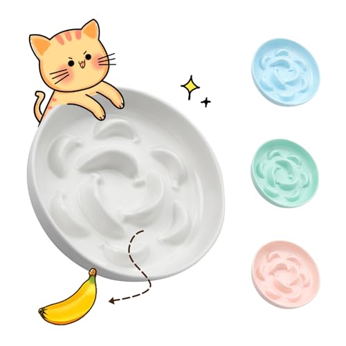 Ceramic Slow Feeder Cat Bowl